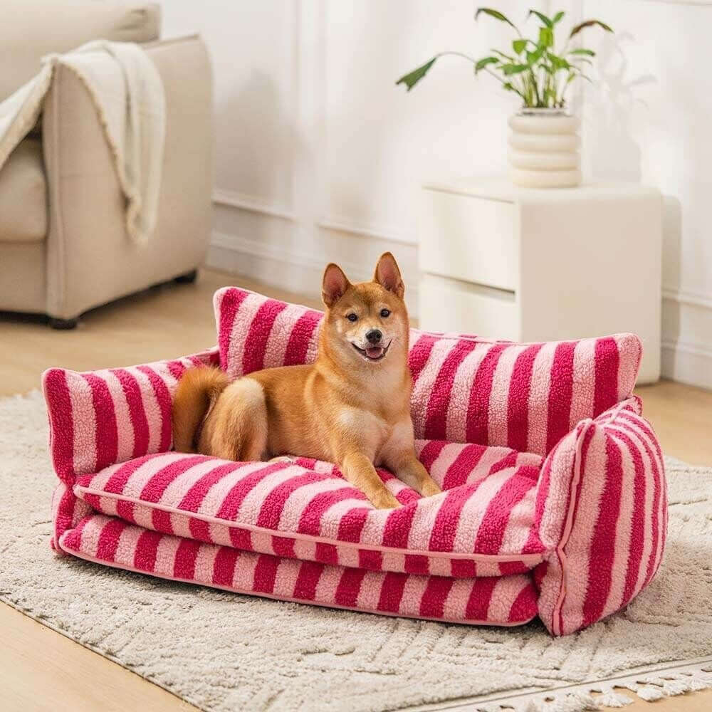 Dog lying on a red and pink striped pet bed in a living room.