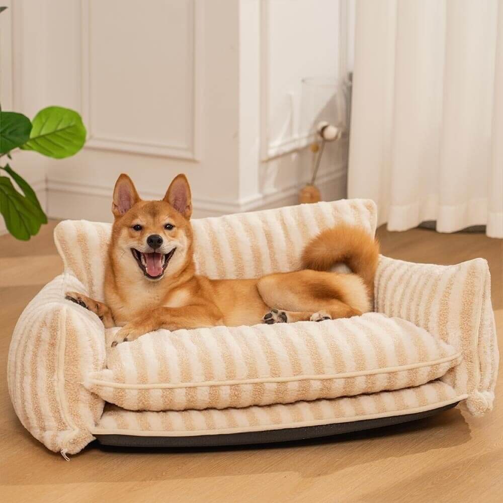 Dog lying on a striped pet bed in a cozy room.