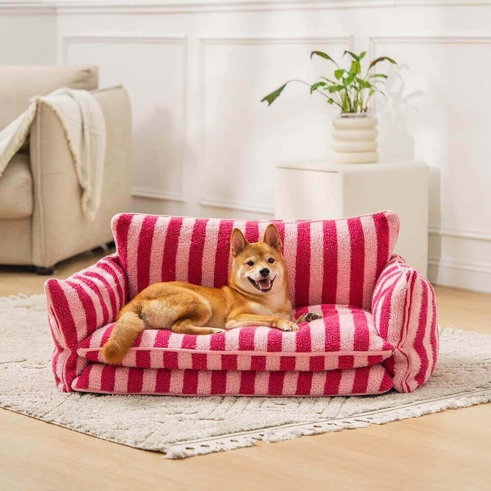 Dog lying on a red and white striped pet bed in a living room.