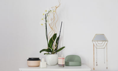Innovating Home Accessories: What’s Trending Now