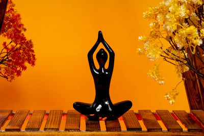 Shopping Preferences