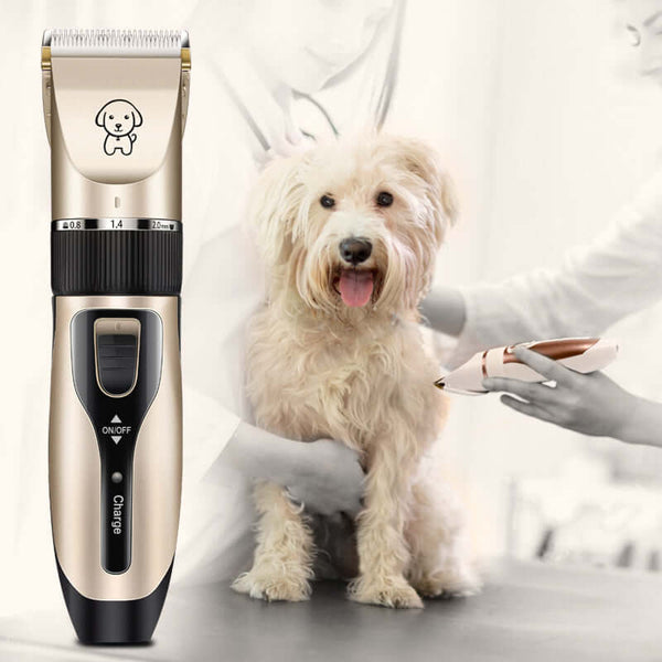 Dog hair clipper with ceramic blade, shown with a groomed dog at a veterinary clinic.