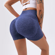High Waist Fitness Shorts for Women