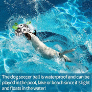 Dog playing with a soccer ball in water, with text about the ball's waterproof and floatation properties.