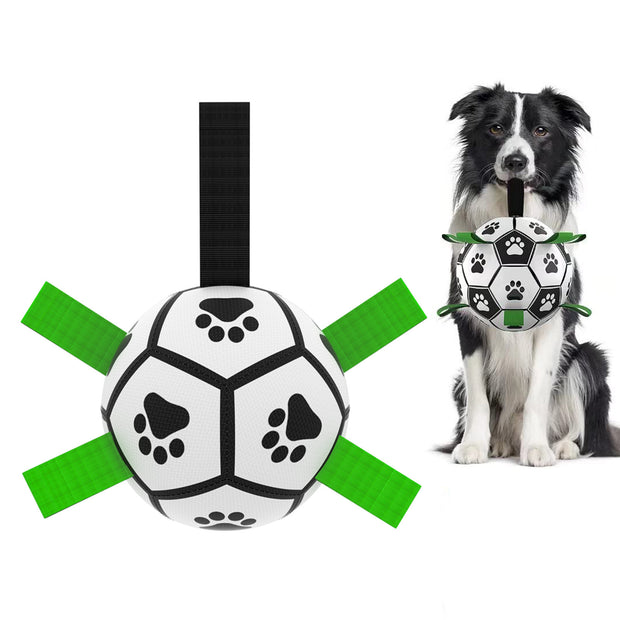 Dog toy resembling a soccer ball with paw prints and green straps next to a dog on a white background