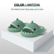 Green cartoon shark slippers on a display, designed for indoor and outdoor fun and comfort for adults.