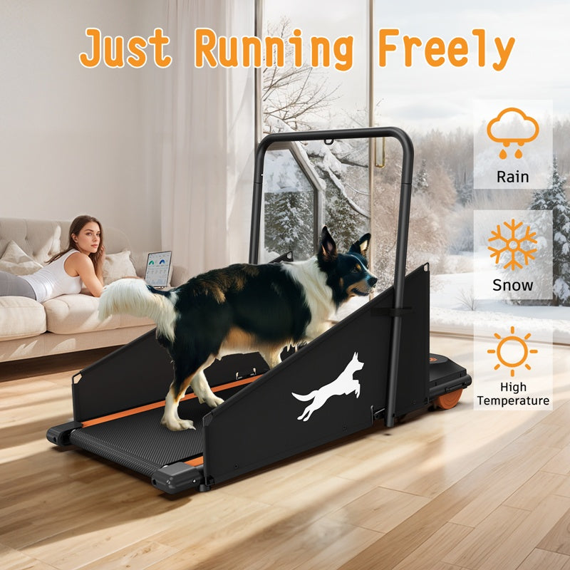 Dog treadmill with a dog walking on it, woman sitting on a couch with a laptop, and outdoor weather icons.