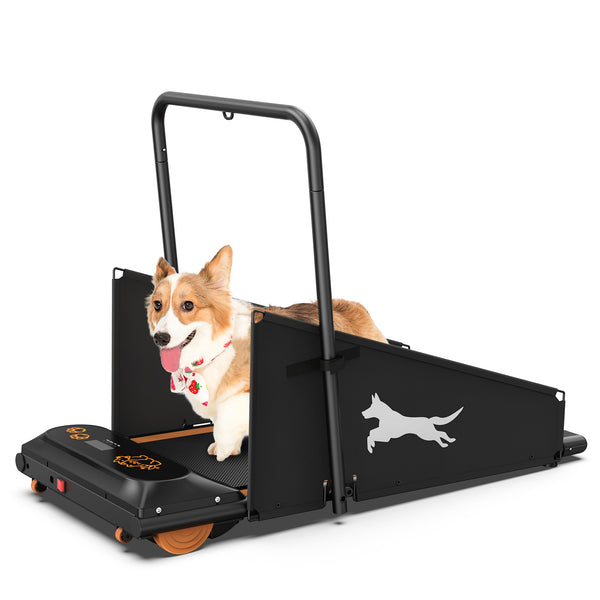 Dog Treadmill for Small & Medium Dogs - Keep Your Pup Fit & Happy with Indoor Running & Walking Solutions!