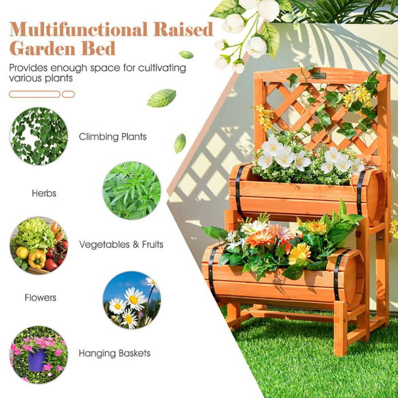 garden bed with trellis