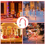 Collage of Christmas decorations featuring candy cane lights in various settings.