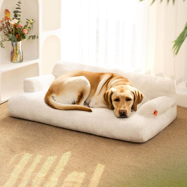 Dog lying on a white pet bed in a bright room with natural light.