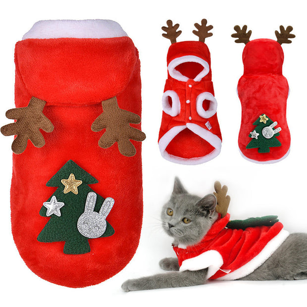 Red pet Christmas outfit with reindeer antlers and holiday decorations, including a matching stocking.