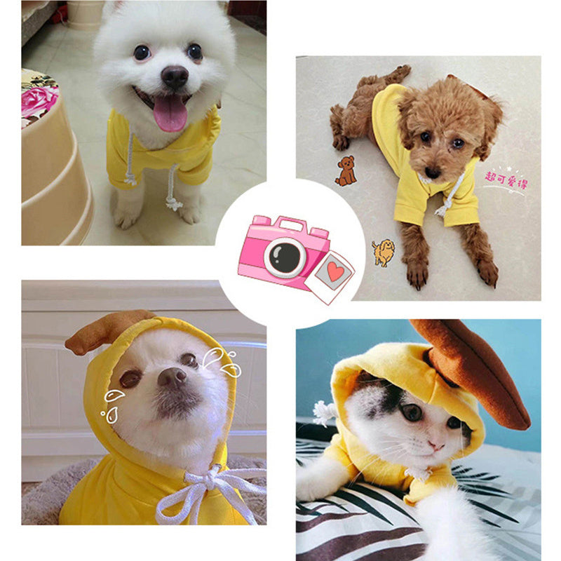 Collage of dogs and a cat wearing yellow banana costumes with a pink camera icon.