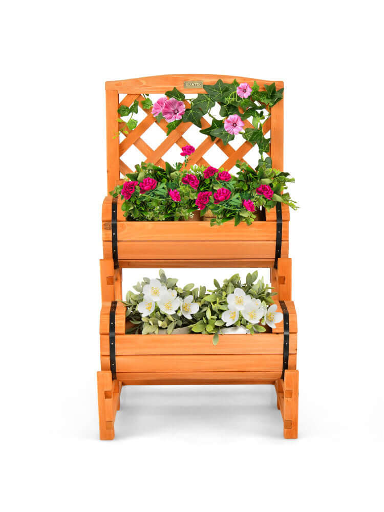 garden bed with trellis