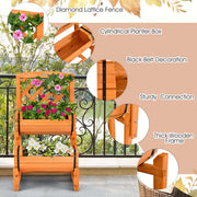 garden bed with trellis