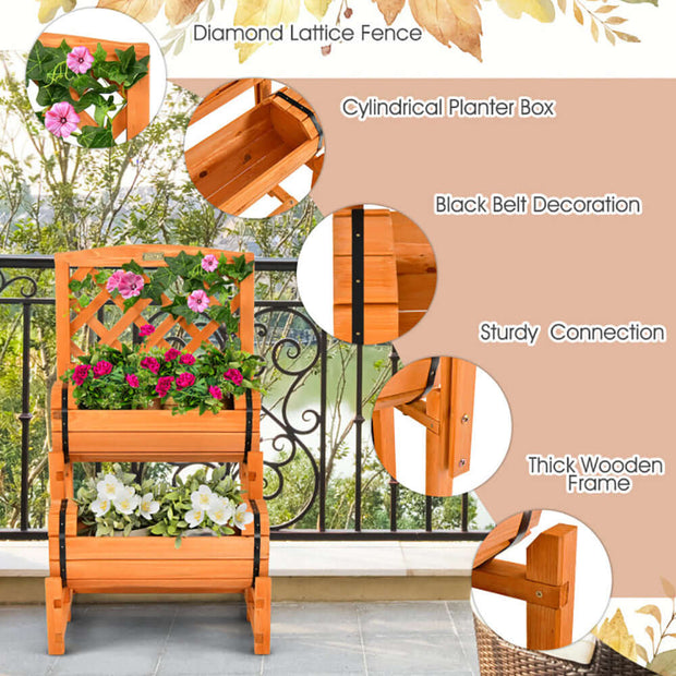 garden bed with trellis