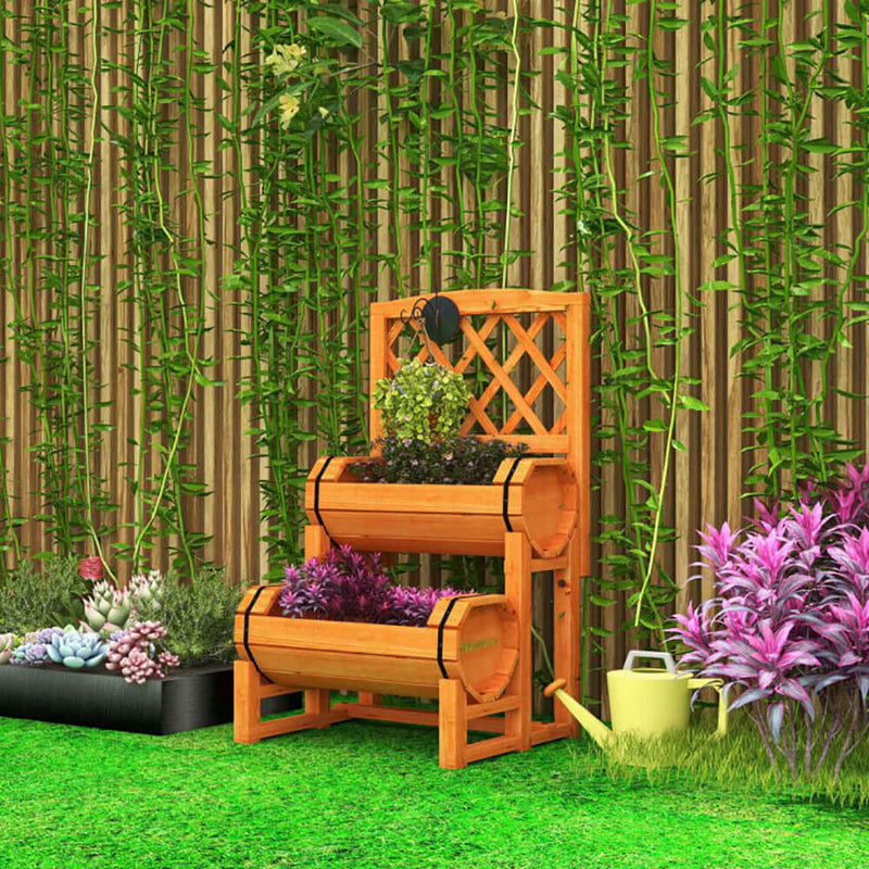 garden bed with trellis