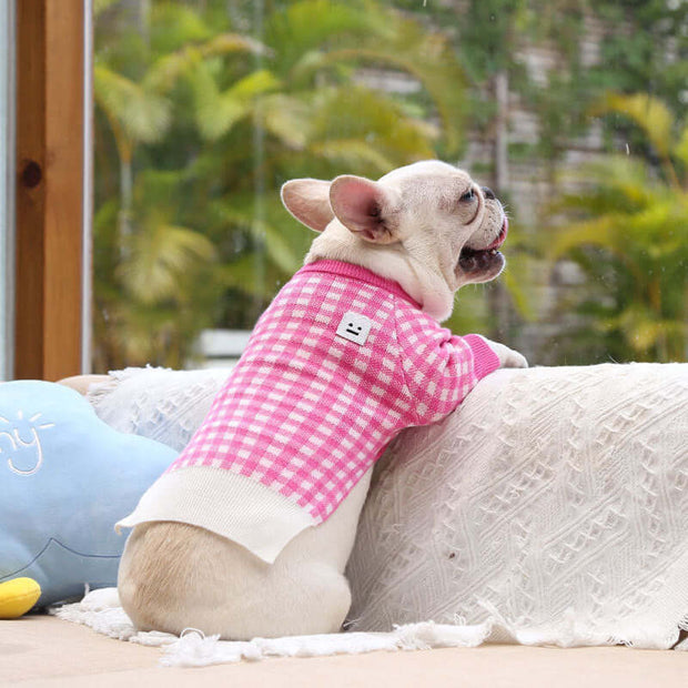 Small dog wearing a pink checkered shirt sitting on a couch with a blurred green outdoor background