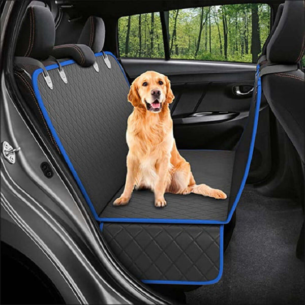 Dog sitting on a black car seat cover with blue edges in a vehicle.