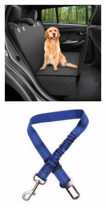 Dog sitting on a car seat cover with a blue dog leash in the foreground.