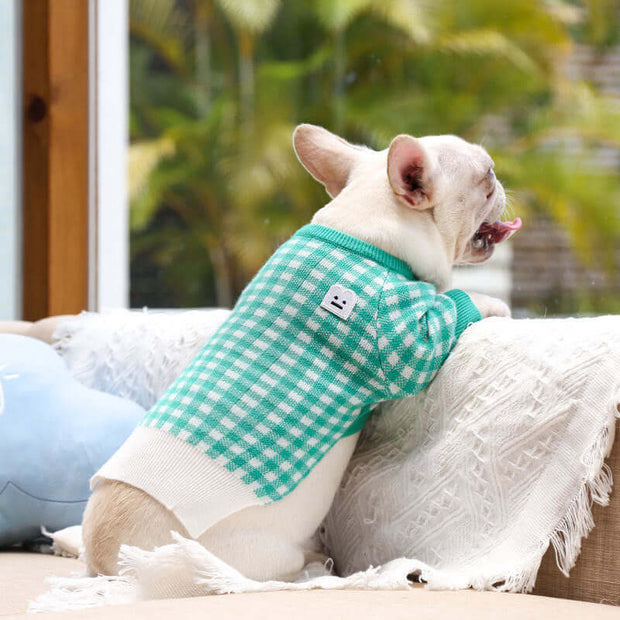 Dog wearing a green checkered sweater sitting on a couch with a blurred outdoor background