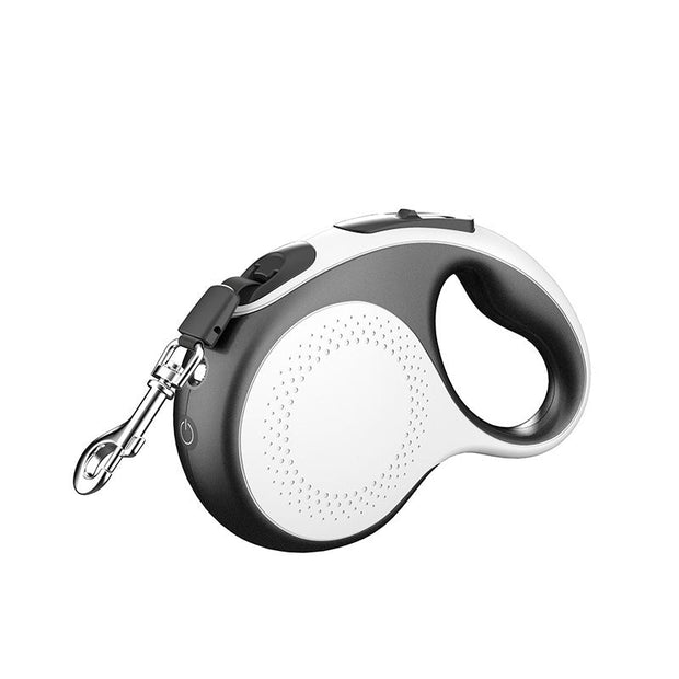 automatic dog feeder