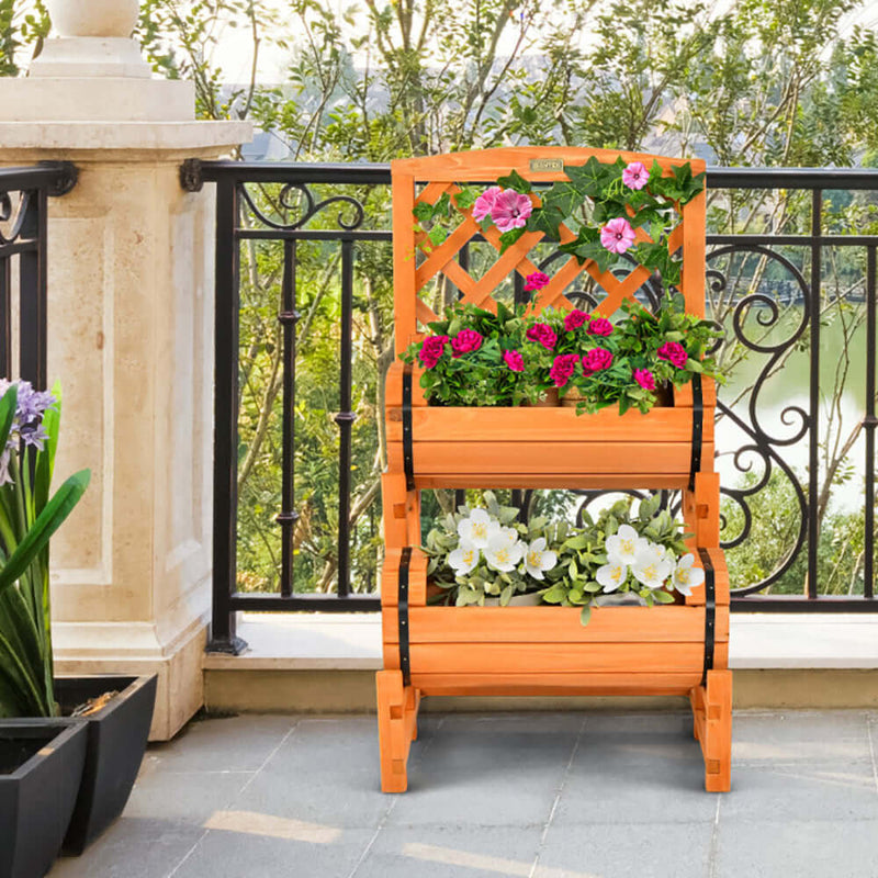 garden bed with trellis