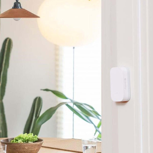 Modern interior with a plant, lamp, and wall-mounted device.