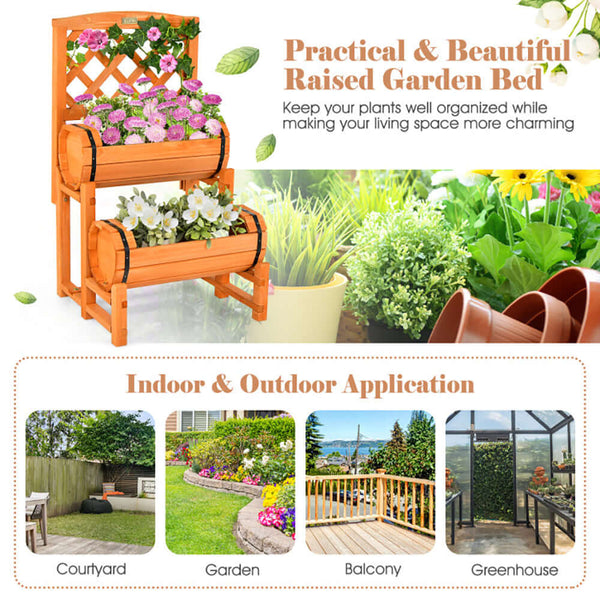 garden bed with trellis
