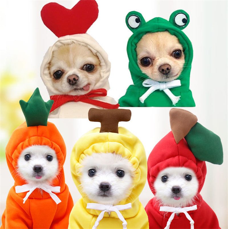 Five small dogs wearing colorful animal-themed costumes on a white background