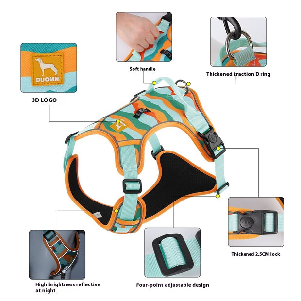 Dog harness with features highlighted on a white background