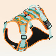 Dog harness with colorful design on a beige background