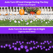 Decorative garden lights with pumpkins and flowers on a grassy area, transitioning to purple lights against a dark background.