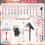 Candy cane light features diagram with measurements and details on a colorful background