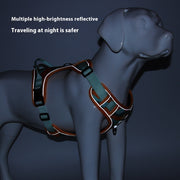 Dog harness with reflective elements on a dark background