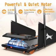 Dog Treadmill for Small and Medium Dogs